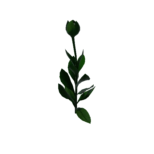Flower Calceolaria Uniflora 4.3